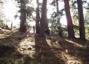 Swanton Ranch field site